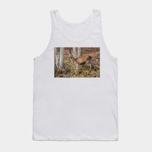 Young Red Deer Tank Top